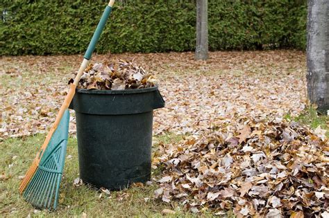Yard waste removal. Things To Know About Yard waste removal. 